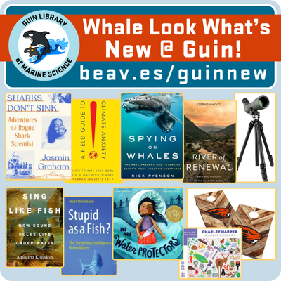 Look What New Items Are At the Guin Library